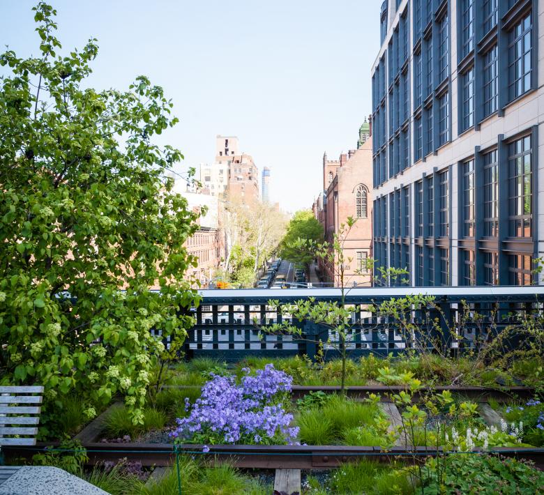 Hudson Yards - Park And Greenspace